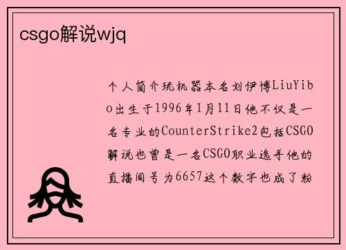 csgo解说wjq